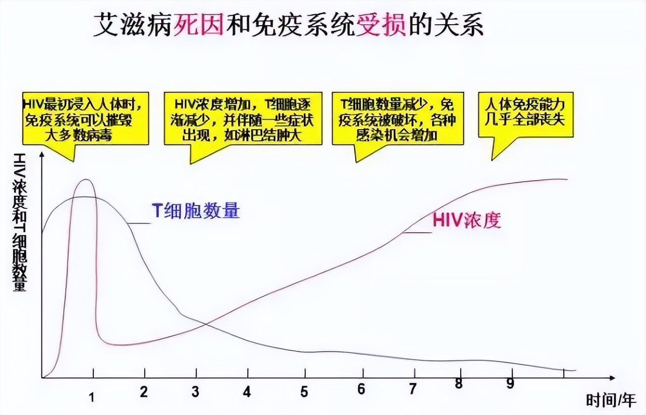 高中生物细胞免疫全知识点视频,生物高中知识点免疫调节