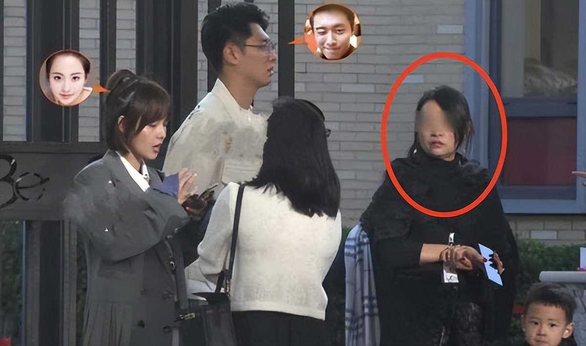 张嘉倪豪门之路,张嘉倪嫁入豪门最后的结果