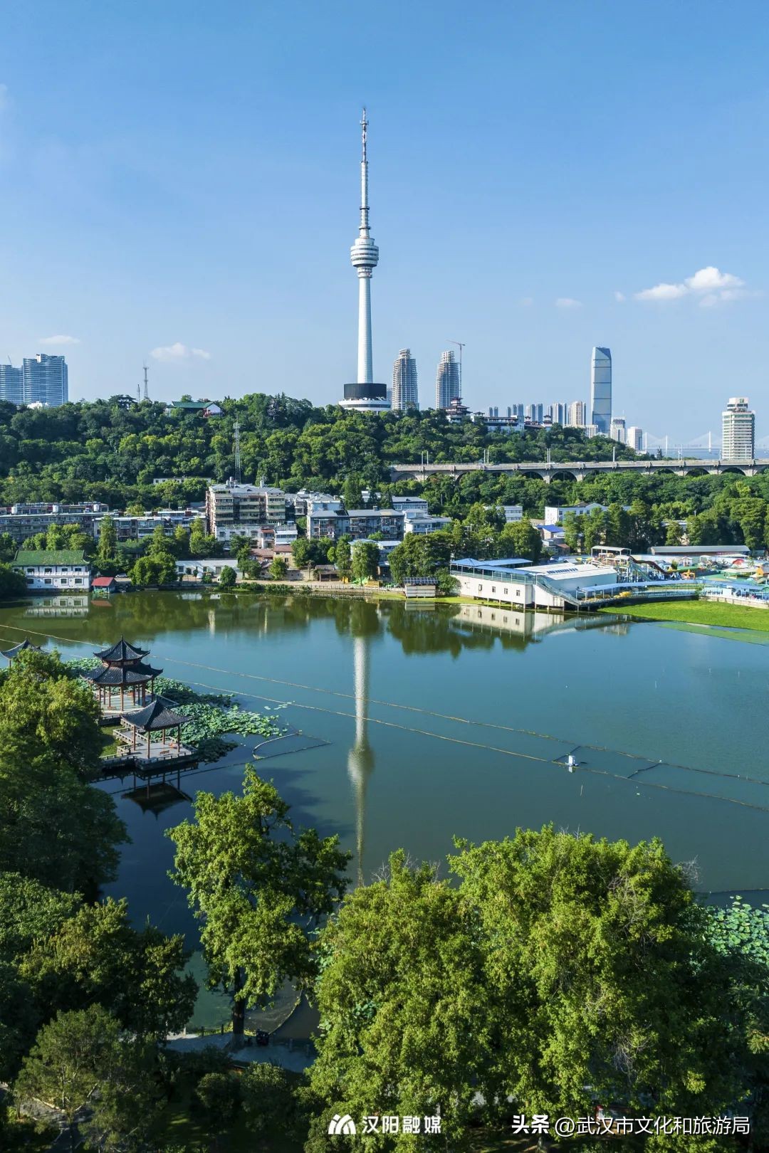 人均绿地面积第一,汉阳人人有份