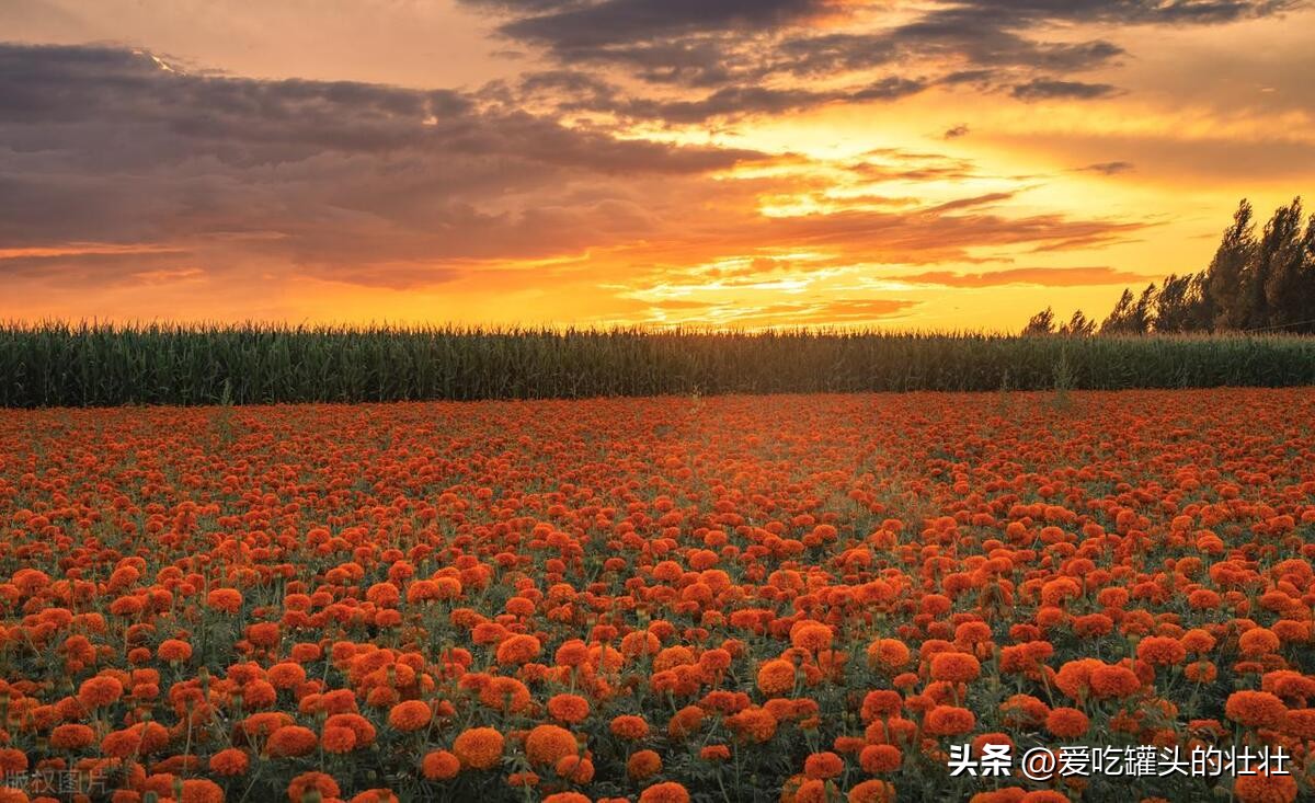 你被好友狠心删了？看看腾讯为什么不提醒你。