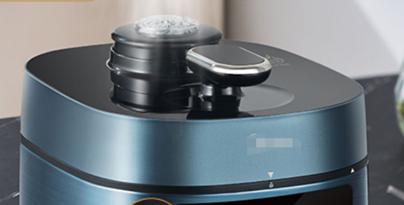 电压力锅，你怎么看？百花争芳的手柄（3-手柄篇）