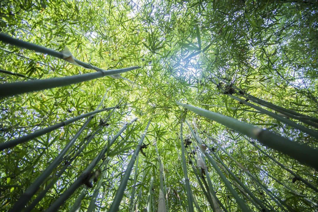 悬崖酒店宜兴,宜兴市悬崖酒店
