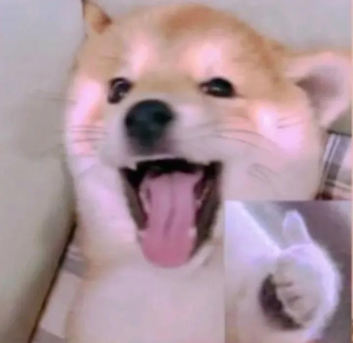 品质决定价值的朋友圈好文案,高端有品位的朋友圈文案