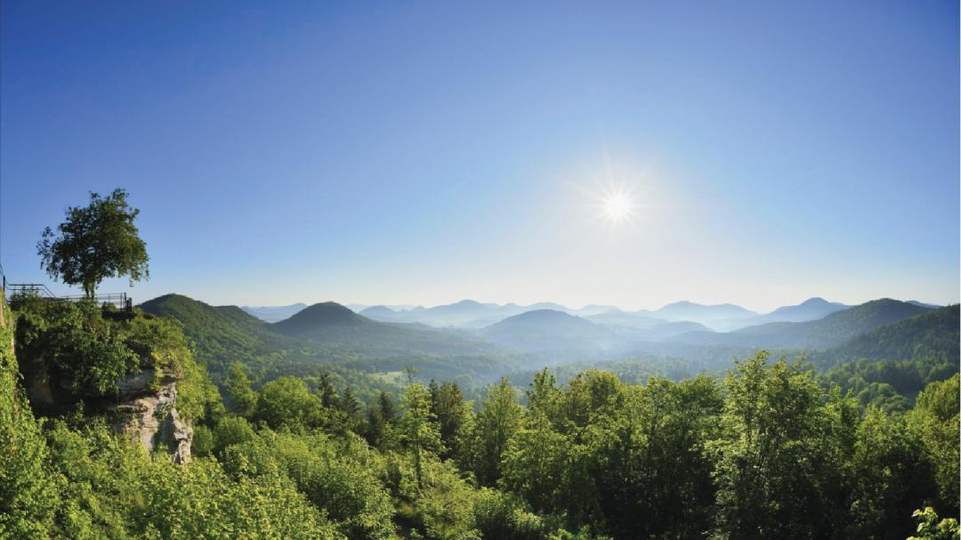 博爱七路【华鸿景悦轩】优缺点分析是否值得我们购买?一文见分晓