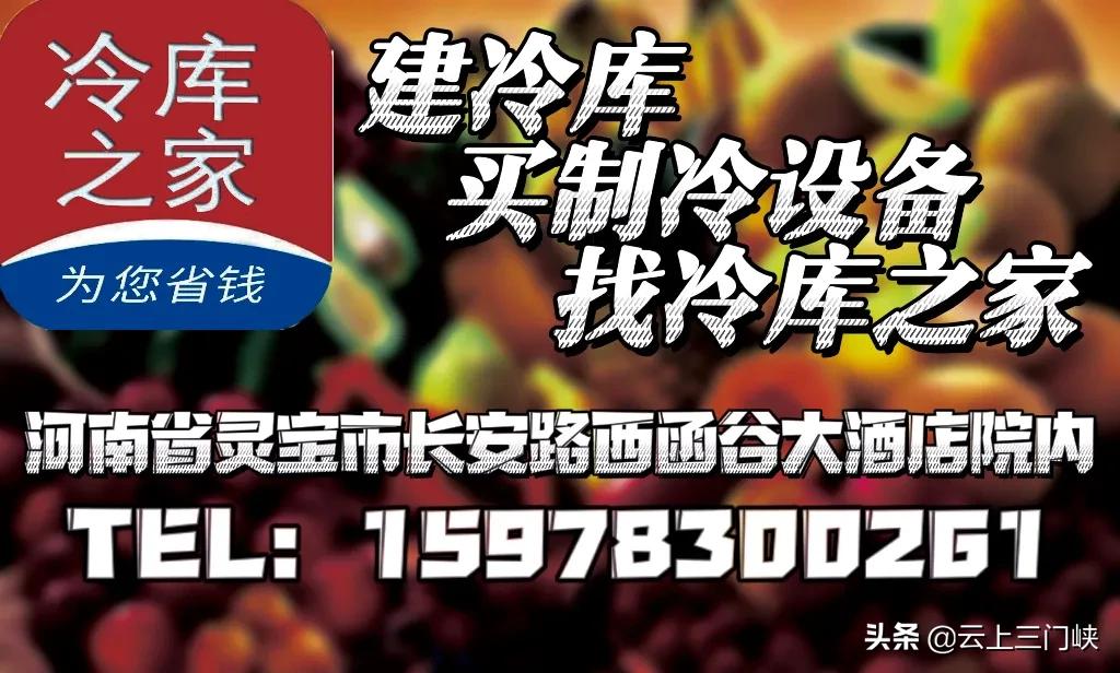 心连心帮扶为新兴县乡村振兴出力,灵宝市黄河河务局