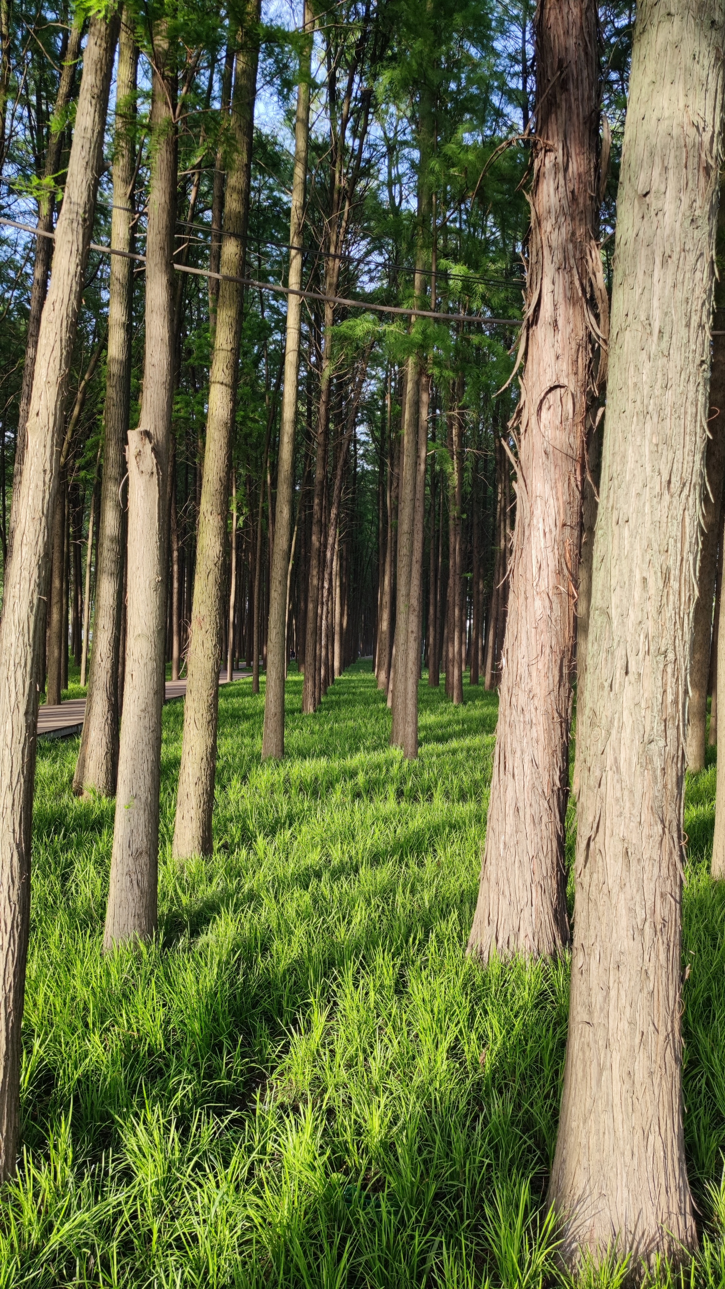 五一武汉江滩旅游人山人海,武汉青山江滩攻略