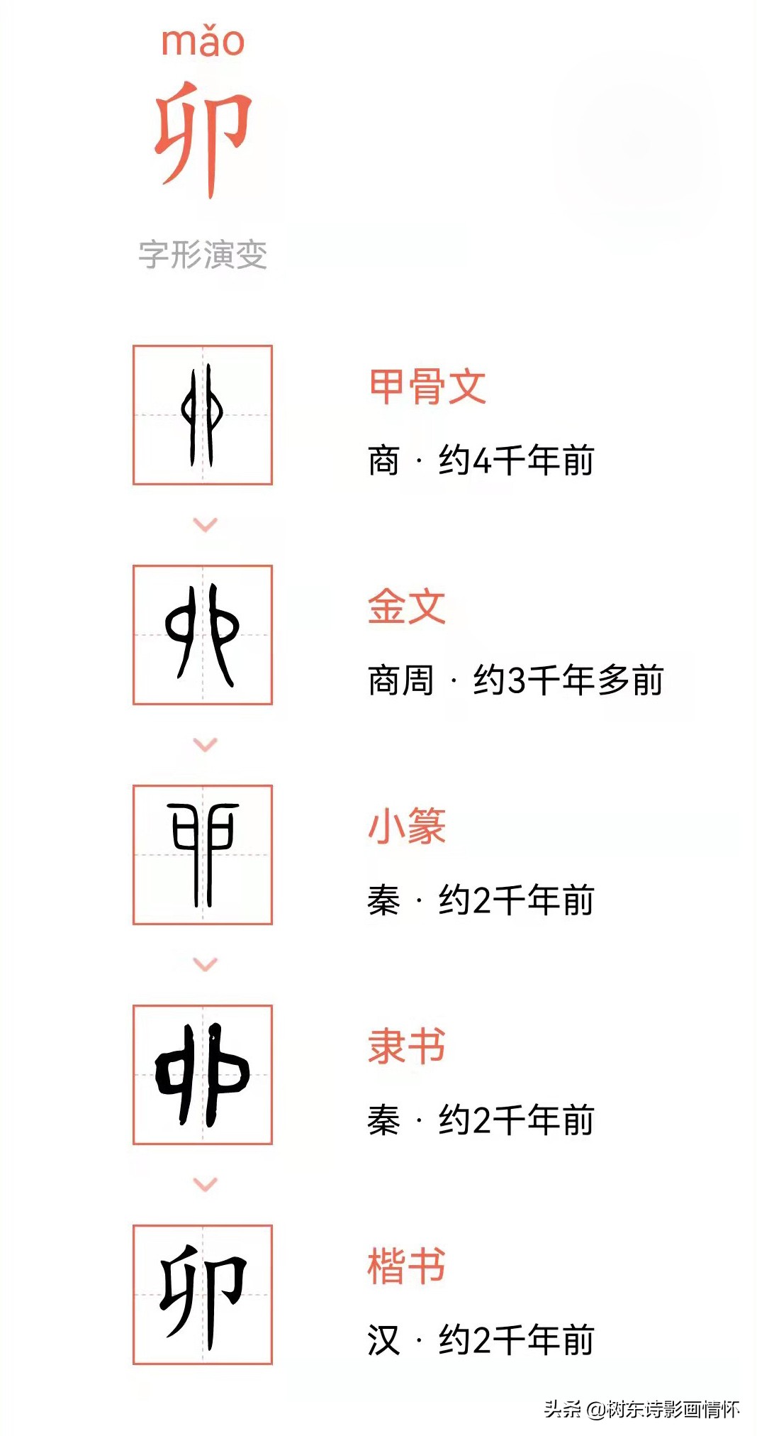 树东说文解字“卯”，寅吃卯粮与竭泽而渔、杀鸡取卵的区别