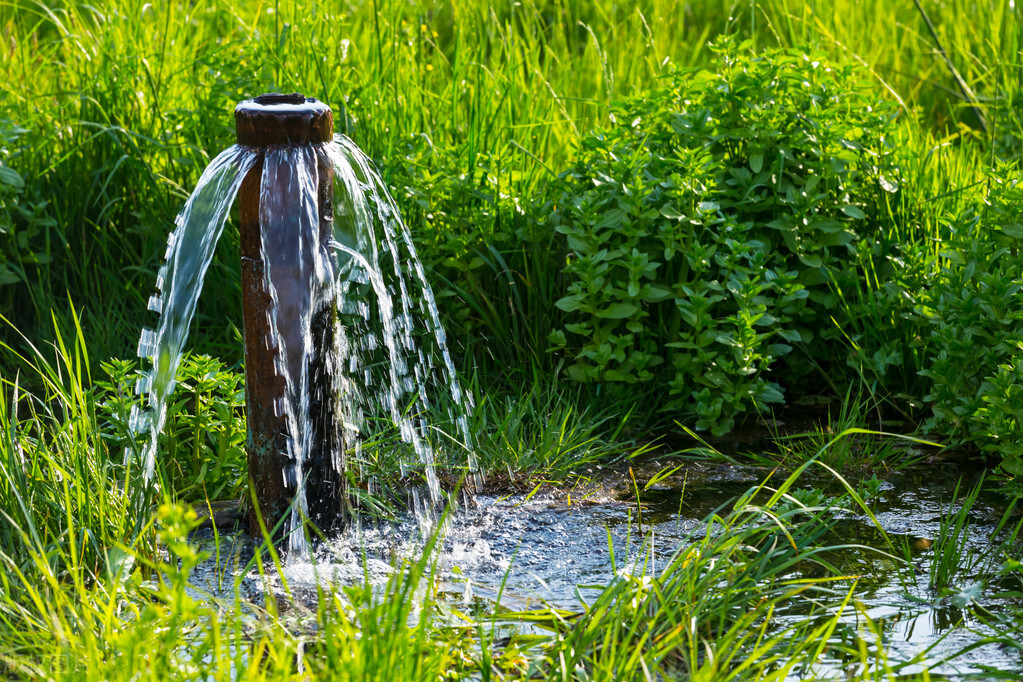 学生学会管理小金库的图片,学校设立小金库的方式
