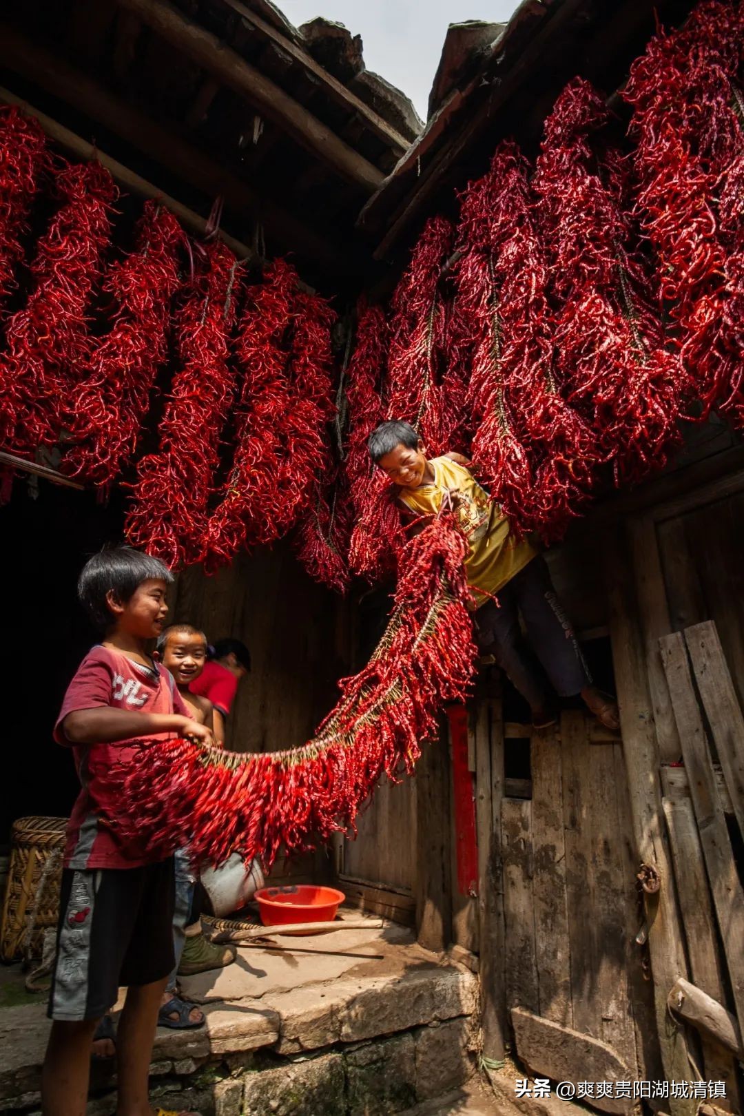 如何全方位读懂中国历史,如何看懂中国的历史