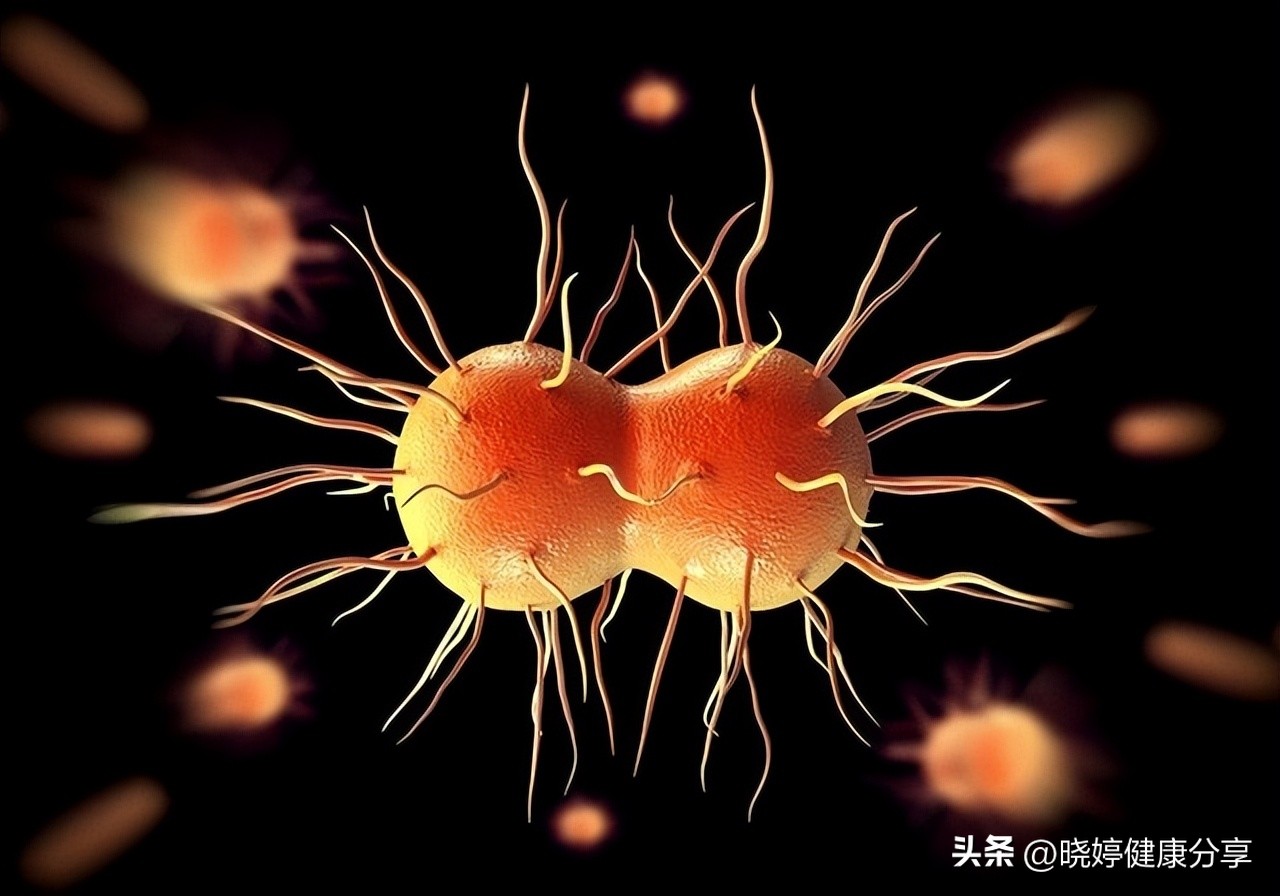 孕妇感染淋病会传染胎儿吗,孕妇感染淋病明显症状