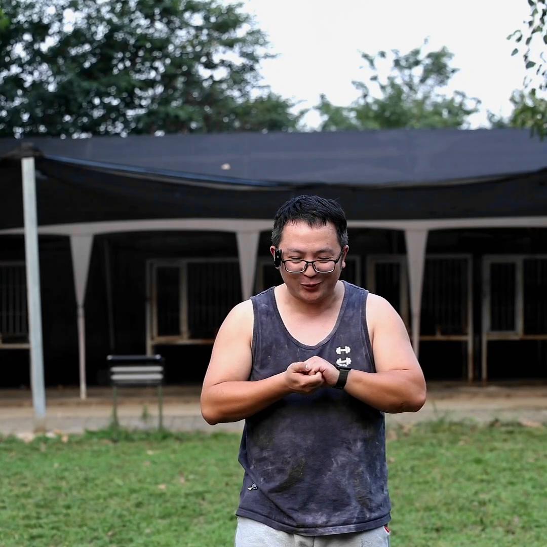 秋田犬和别的狗好相处吗,秋田犬怎么控制不和其他狗打架