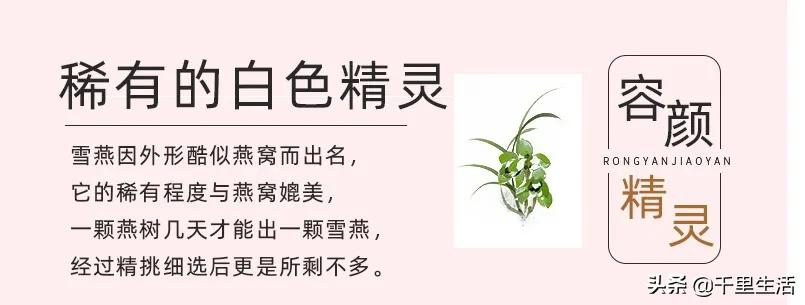 天然的雪燕食用方法,天然雪燕做法