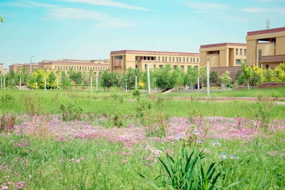 新疆师范大学最新排名,新疆师范大学