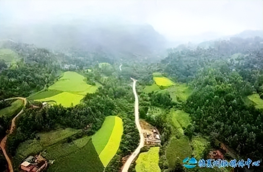 2024骞村宸磋兒閰嶈壊,缁胯壊鐨勫宸磋兒閰嶈壊