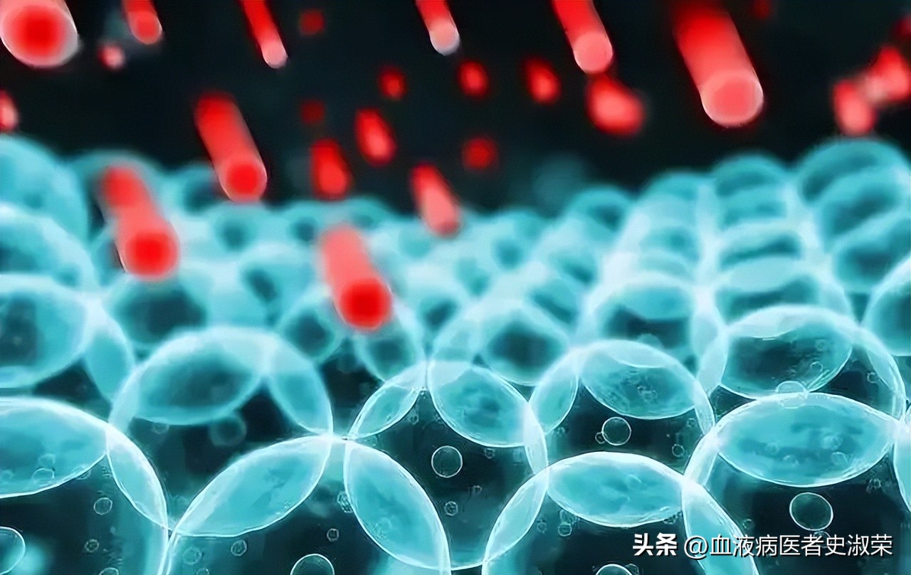 全国治疗再障最新中医方案,为什么说中医可以治本