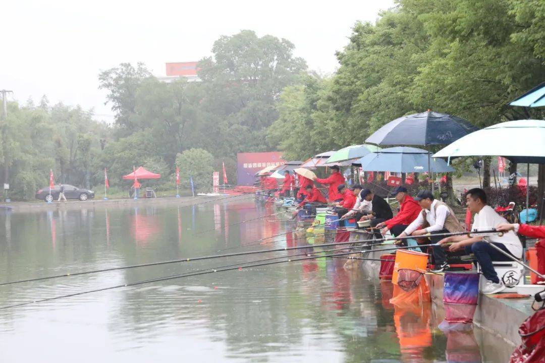 朱巧林夜钓争霸赛视频,第四届和善园杯星钓联赛总决赛