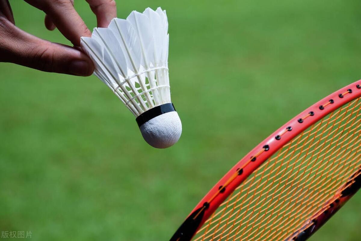 羽毛球拍哪个牌子是最好的,羽毛球拍子哪个牌子最好用