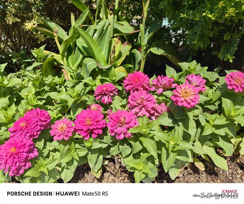 华为mate50rs保时捷设计超微距长焦,华为mate50rs保时捷4g网络评测