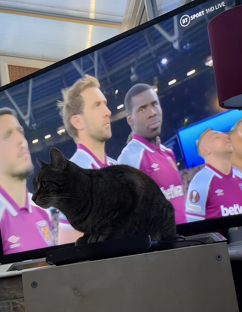 法国足球为什么近两年很强,回顾欧洲足坛今年暴力事件