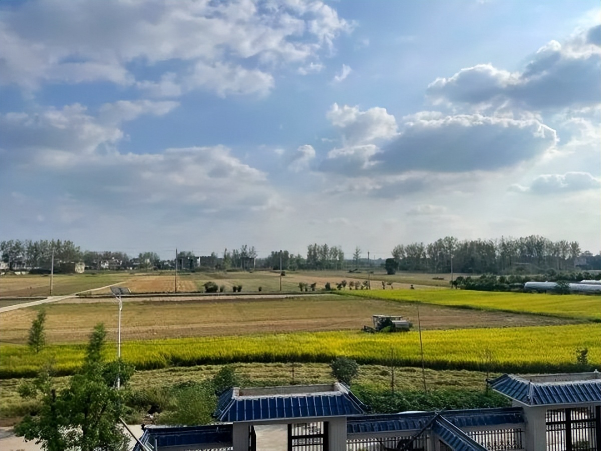 从大厂离职,上海大厂离职