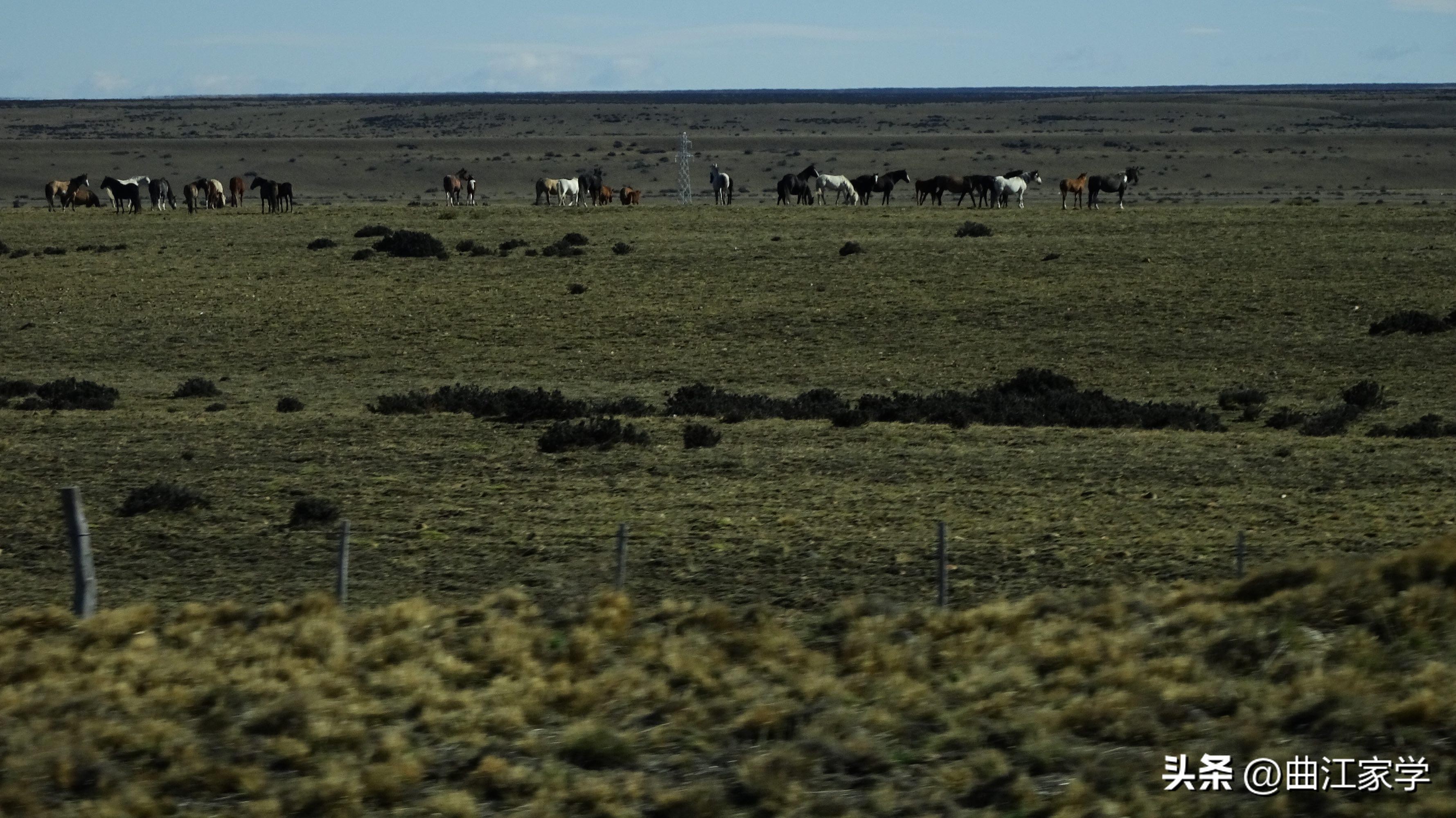 闃挎牴寤风殑姘旇川鏄笌鐢熶勘鏉ョ殑,闃挎牴寤蜂笌鐢熶勘鏉ョ殑鎮叉儏姘旇川