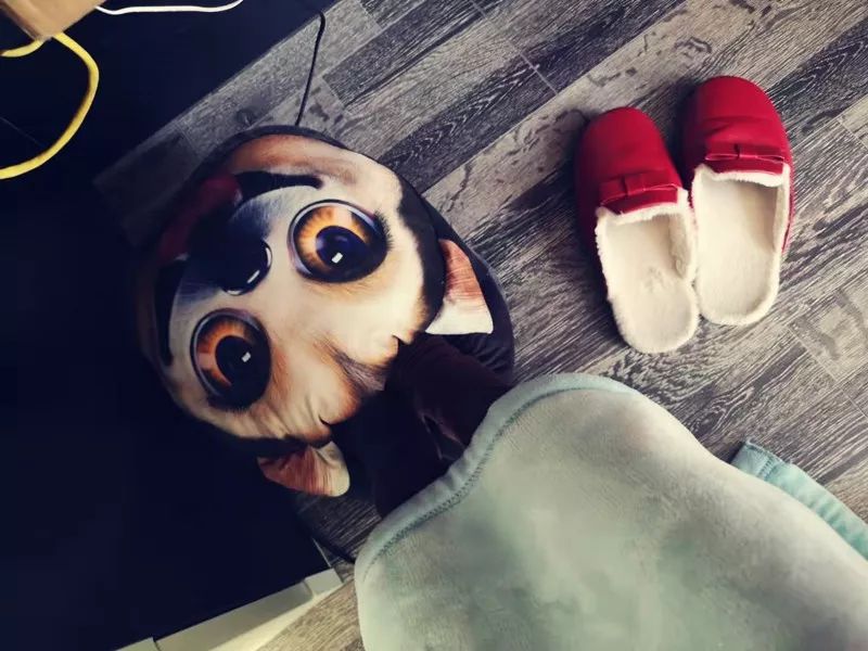 欧洲消费者买过冬八件套,欧洲人买爆中国人过冬八件套