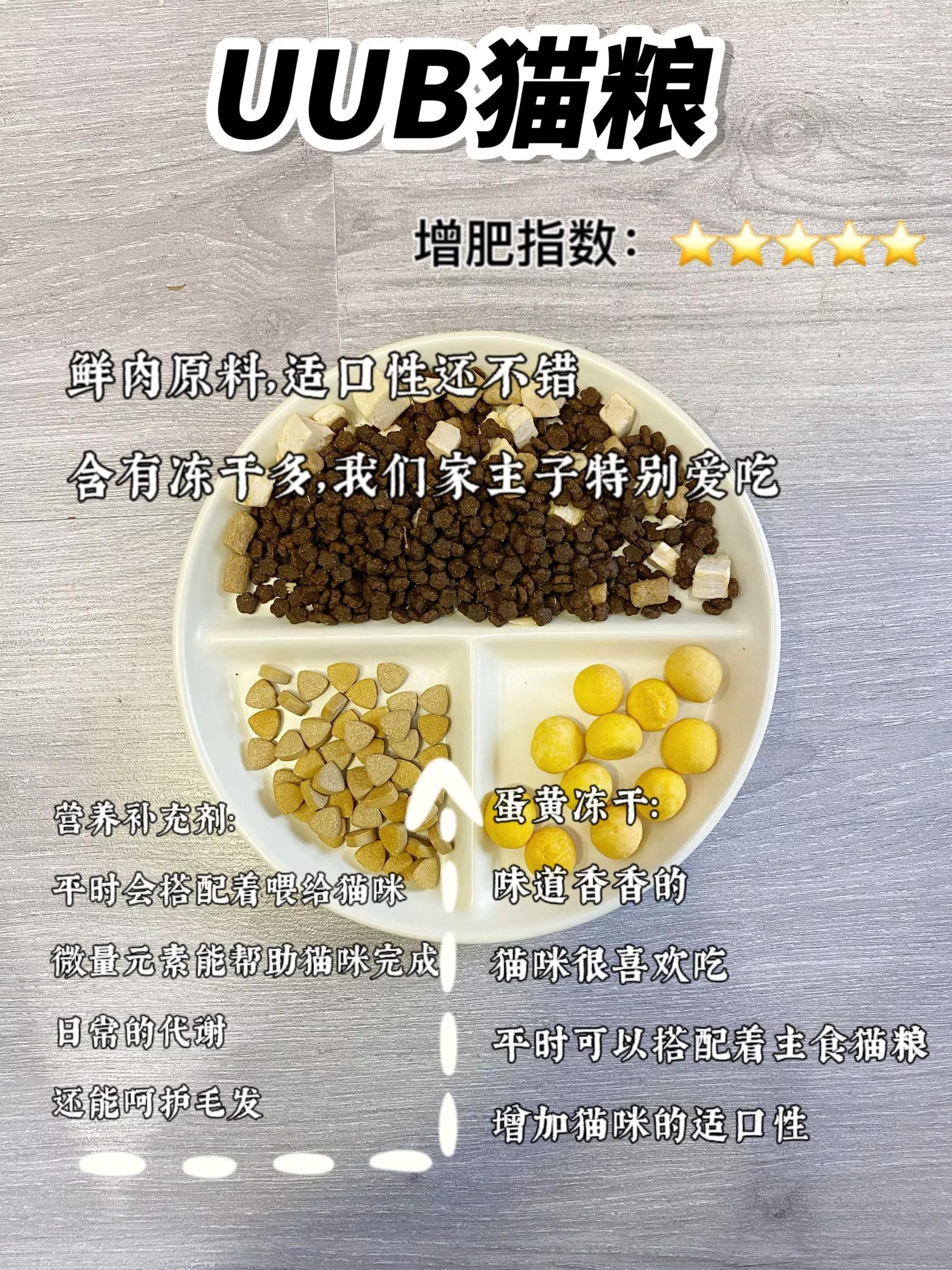 月均花费200低成本养猫攻略,月收入2000养猫