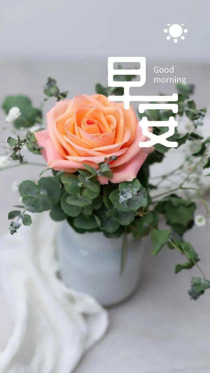 老年人怎样和子女相处视频 (老年人与子女相处)