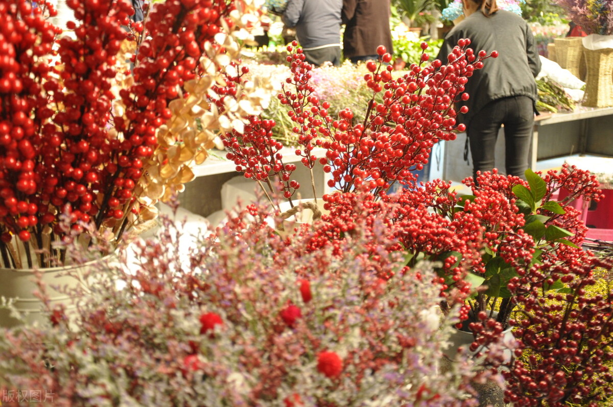 去云南昆明旅游攻略必去景点,云南的昆明旅游攻略必去景点顺序
