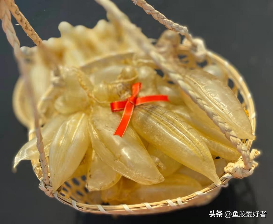 鱼胶要吃多久才能见到效果,为什么鱼胶吃了没效果