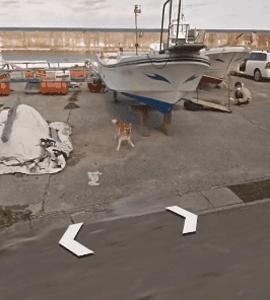 谷歌地图的狗狗,谷歌地图六条腿的狗