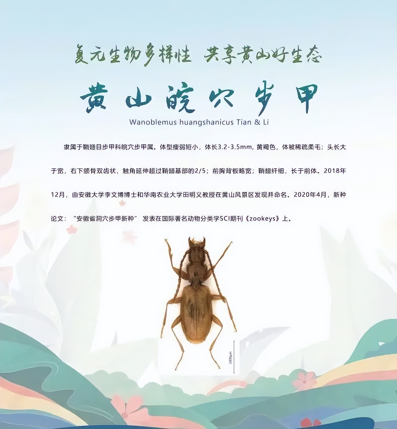 合肥二十种人气美食,合肥好吃的美食排行榜海鲜