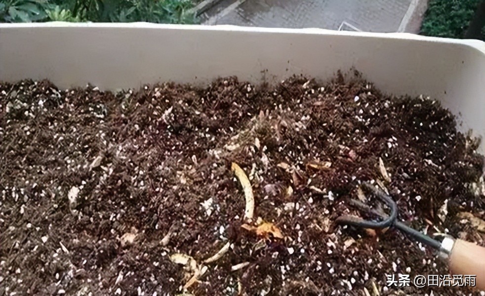 松树盆景土配制方法,黄杨盆景土配制方法