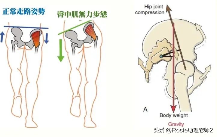 毛晓彤宋轶,毛晓彤宋轶微博之夜