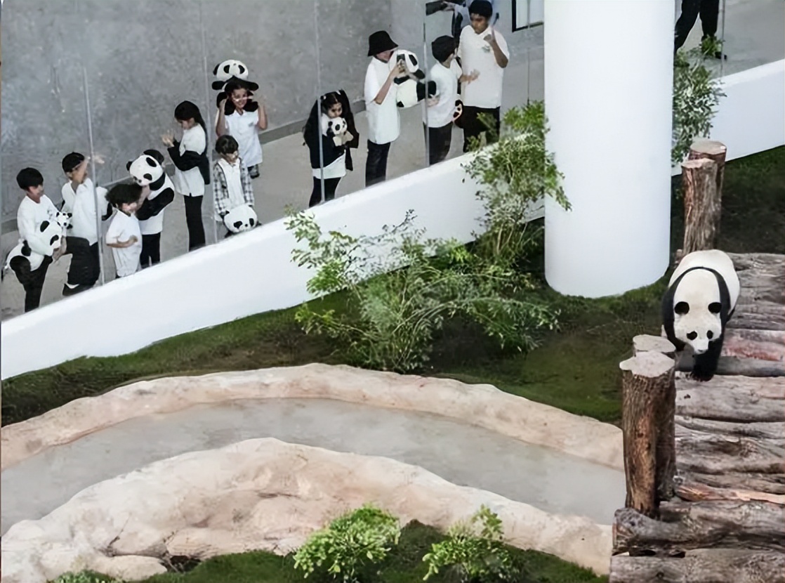 2022卡塔尔世界杯中国出局了没有,卡塔尔世界杯为什么在2022年开始