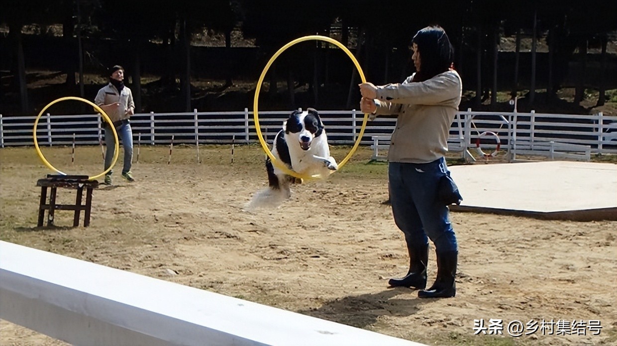 关西六甲山牧场在哪里,六甲山牧场门票多少钱