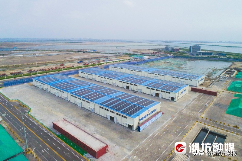 潍坊山东成绩,山东港口集团年度业绩