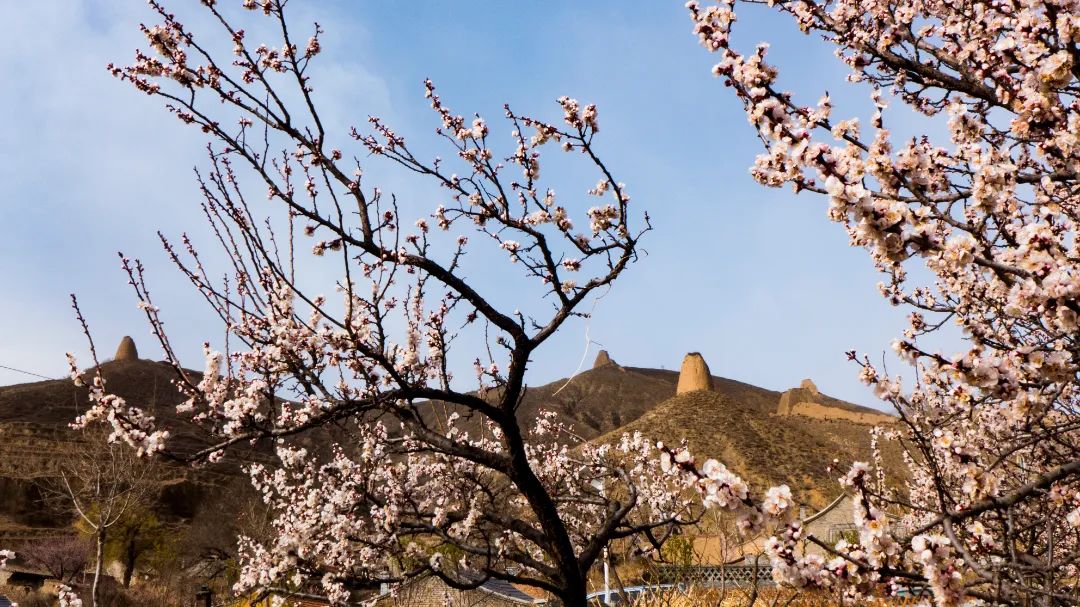 迎接党的20大美术作品,喜迎二十大乡村摄影展