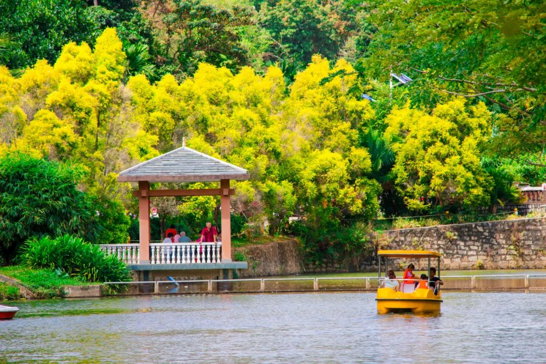 海南万宁深潜推荐,海南万宁潜水俱乐部