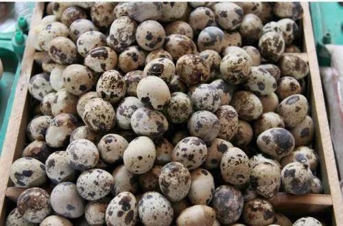 实用小妙招轻松解决生活大问题,生活上的小事怎么解决