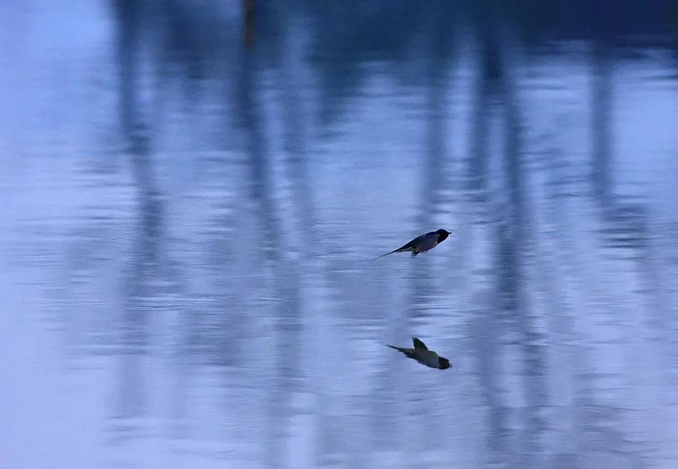 秋之恋钢琴曲,秋之恋抖音号