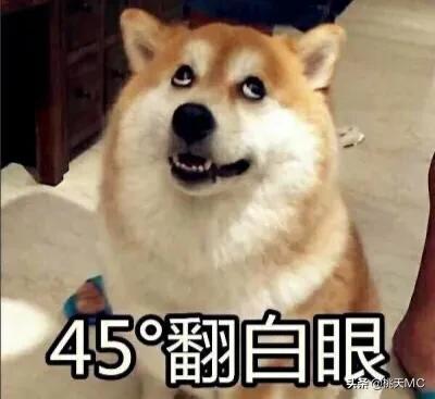 男人一辈子不结婚的生活,男人一辈子不恋爱会怎么样