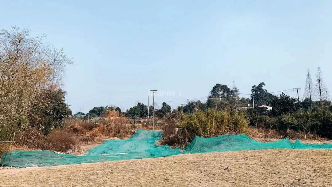 熊猫基地扩建园区,熊猫基地扩建最新