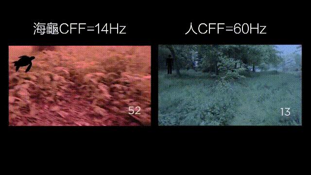 元宇宙给我们带来的影响,元宇宙对普通生活的影响