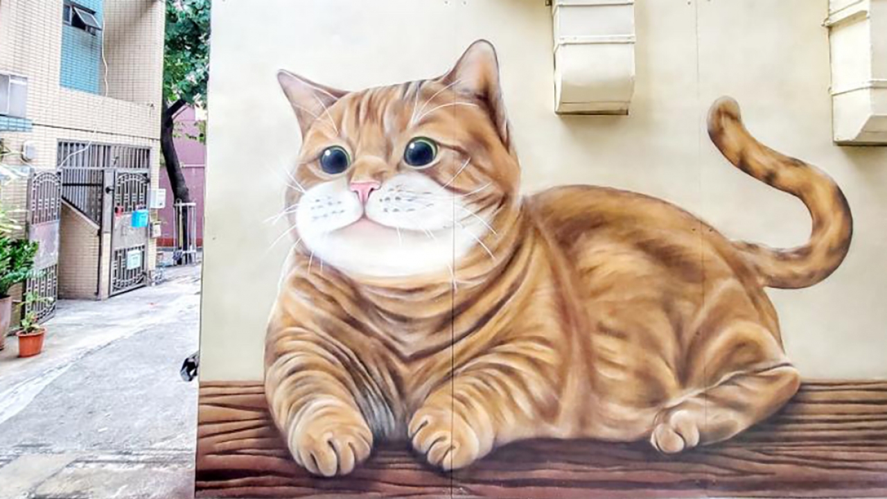 人的大脑有多大的记忆容量,人的大脑究竟能有多大的储存空间