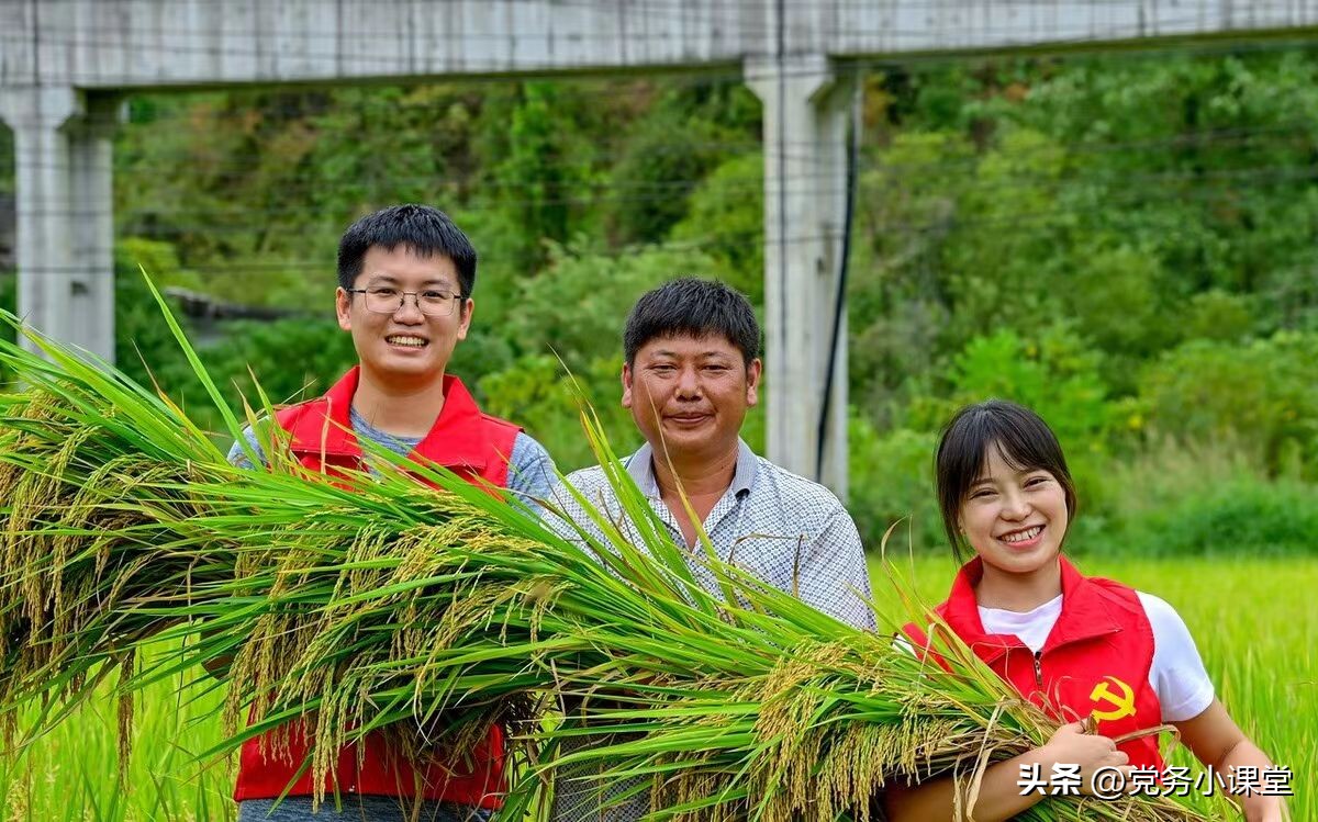 乡镇干部走读问题如何解决,乡镇干部不让走读孩子如何安置