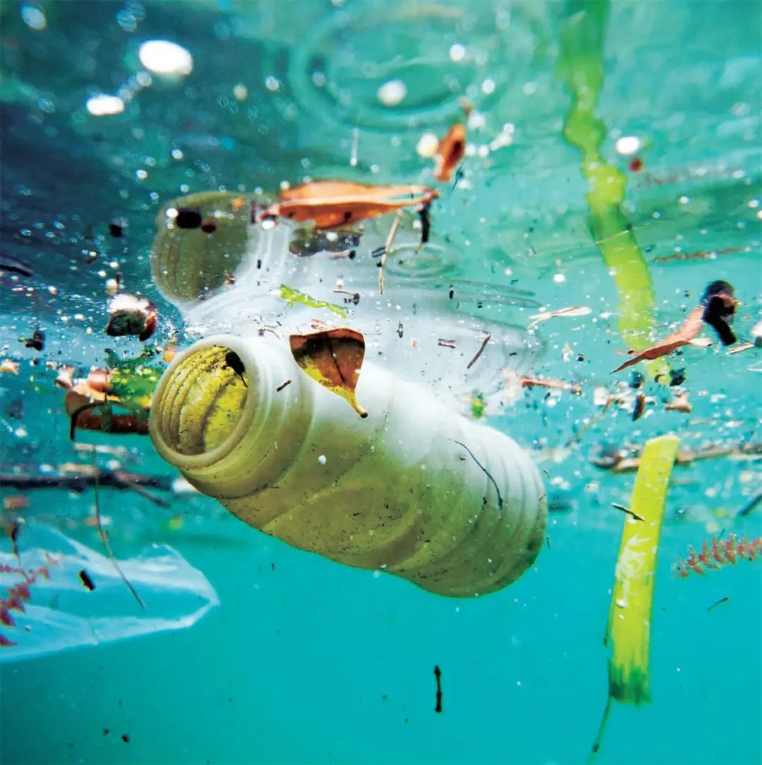 上海附近的大海沙滩旅游推荐,上海周边最建议去的沙滩