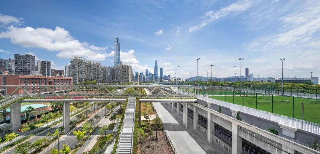 评价高颜值的神评论,高颜值高评价