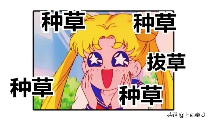 奉贤天街开业在什么地方,奉贤开两个天街