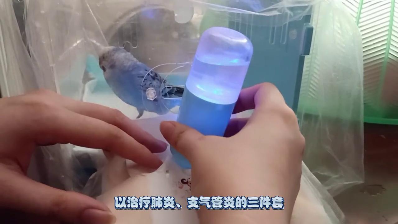 有备无患未雨绸缪,有备无患歌曲